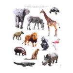 Stickers Animaux de la savane 2 16621-apli-enfants