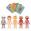 Puzzle sur le corps humain 4 Tmp358D